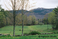 Mt. Monadnock and Trough - Spring